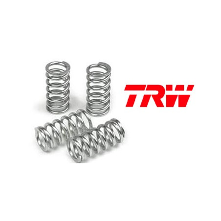 TRW LUCAS sankabos spyruoklės BMW F 650 GS 08-12, F 700 GS 16-20, F 800 GS / GS ADVENTURE 08-15, F 800 GT 13-16, F 800 R 09-20,