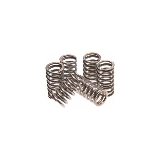 TRW LUCAS clutch springs KTM EXC-LC4 400 93-95, HONDA VF750 82-84, YAMAHA XV 500 83-84, (5 pcs.) (EBS077)
