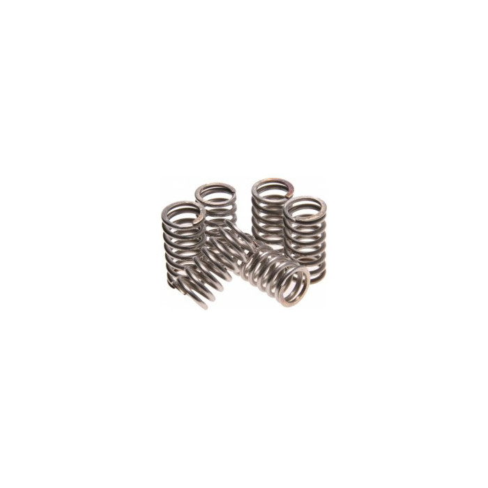 TRW LUCAS clutch springs KTM EXC-LC4 400 93-95, HONDA VF750 82-84, YAMAHA XV 500 83-84, (5 pcs.) (EBS077)