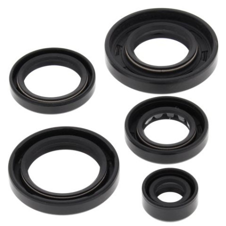 WINDEROSA (VERTEX) engine gasket set ARCTIC CAT 650 4X4 H1 07-11, 650 H1 LTD 05-07, 650 H1 MUDPRO 10-11, 650 TRV 07-0