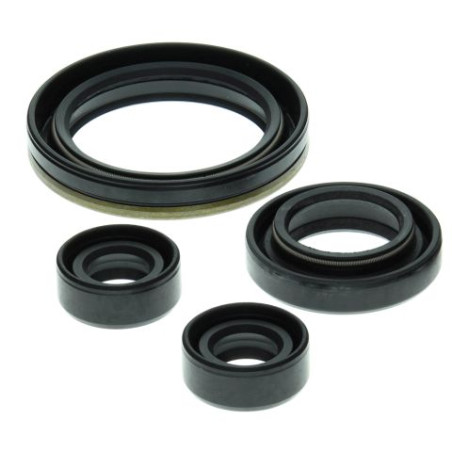 WINDEROSA (VERTEX) variklio tarpinių komplektas SUZUKI LT-160 03-04, LT-160E 89-92, LT-F160 91-01