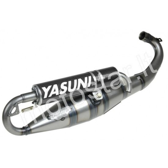 Yasuni C16 Black Carbon Piaggio / Glass dustpan