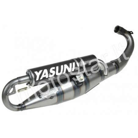 Yasuni C16 Black Carbon Piaggio / Glass dustpan