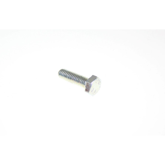 BRAKE DISC SCREW M6 / 19 0 / 000.460.0693