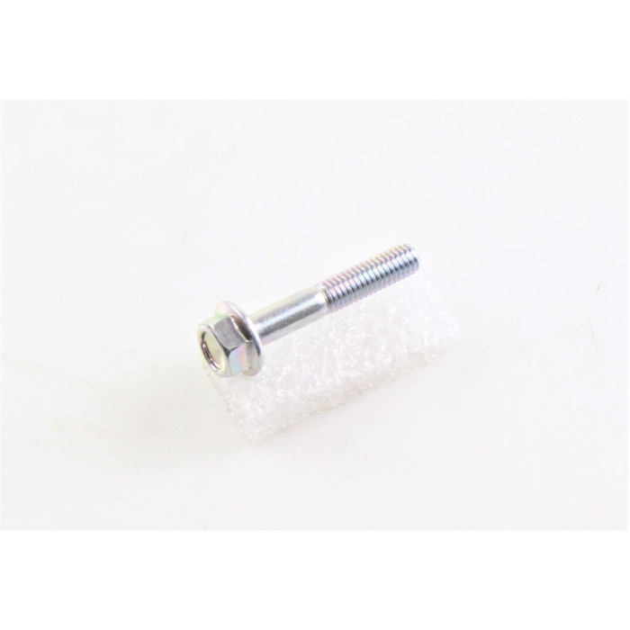 SCREW M6X35 B0109060356H