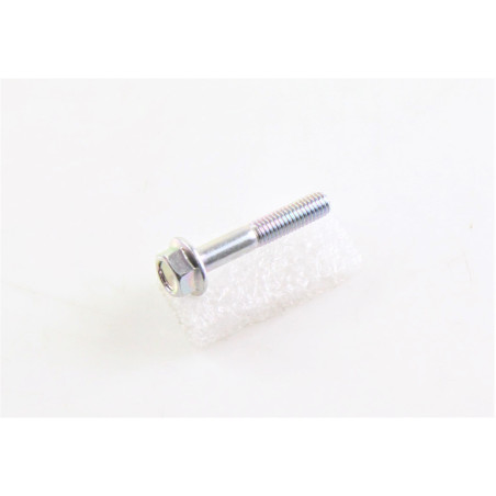 SCREW M6X35 B0109060356H