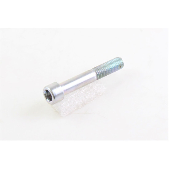 BENELLI M10X60MM SCREW