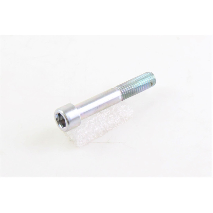 BENELLI M10X60MM SCREW