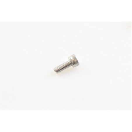 BENELLI M4X10MM SCREW