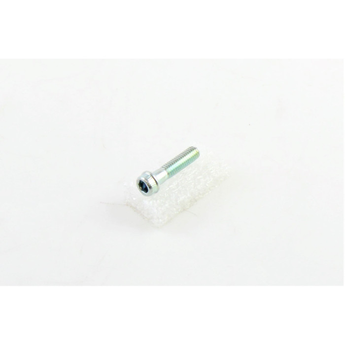 BENELLI M6X25MM SCREW