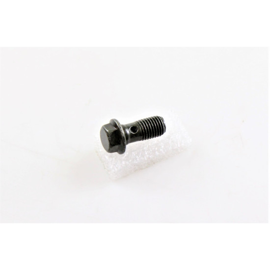 BRAKE HOSE SCREW R020063043000