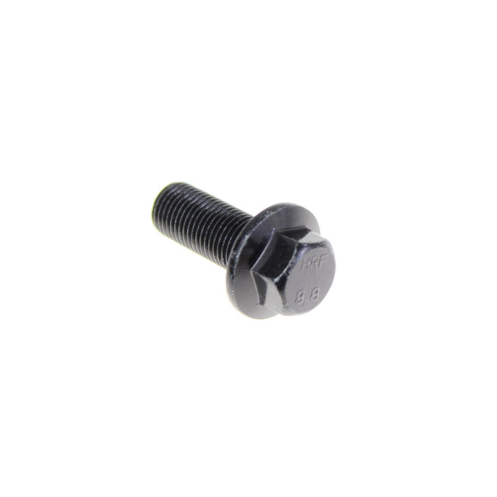 SCREW M12 / 30 40201009