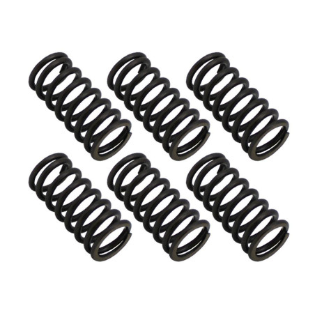 PSYCHIC clutch springs SUZUKI RM 125 '99-'01, RM 250 '97-'05, KTM XCF/SXF 250 '13-'15, XCF/SXF 350 '11-'15 (EBS091)