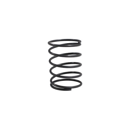 Spring SRK125S SRV125