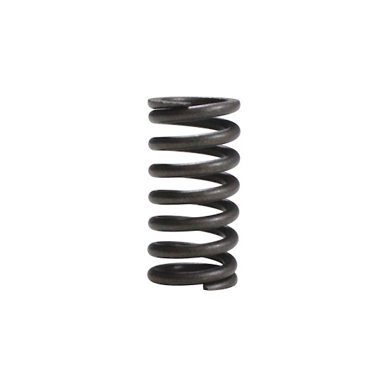 CLUTCH SPRING SRK125S SRV125