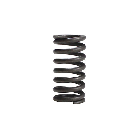 CLUTCH SPRING SRK125S SRV125