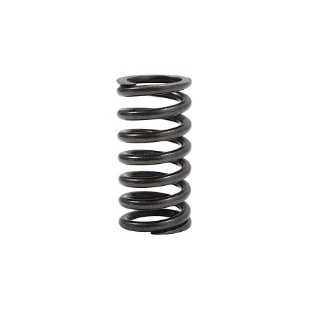 CLUTCH SPRING TRX125
