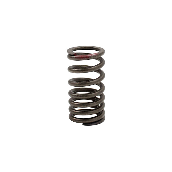 VALVE SPRING TRX125