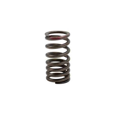 VALVE SPRING TRX125