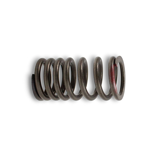 VALVE SPRING TRX125