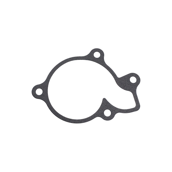 TARPIKLIS SRK125S SRV125