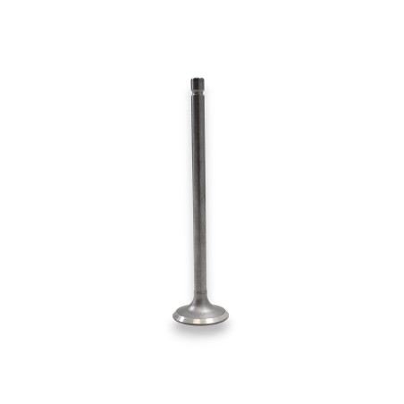 INTAKE VALVE TRX125