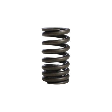 SRK125R valve spring