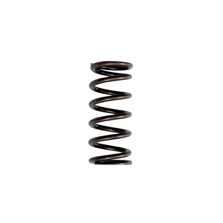 SRV700 clutch spring