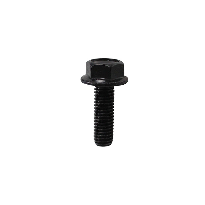 Screw M8x25mm SFA1000