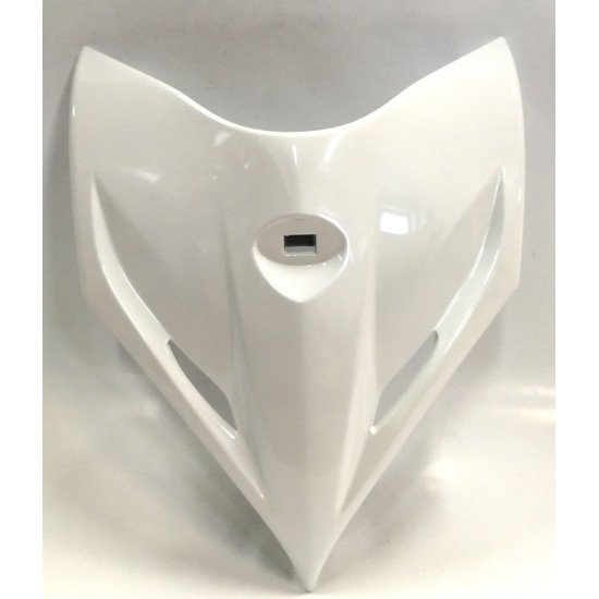 FRONT COVER SUPER 8 NEW NH193PA 64301-ALG1-E10-NVP