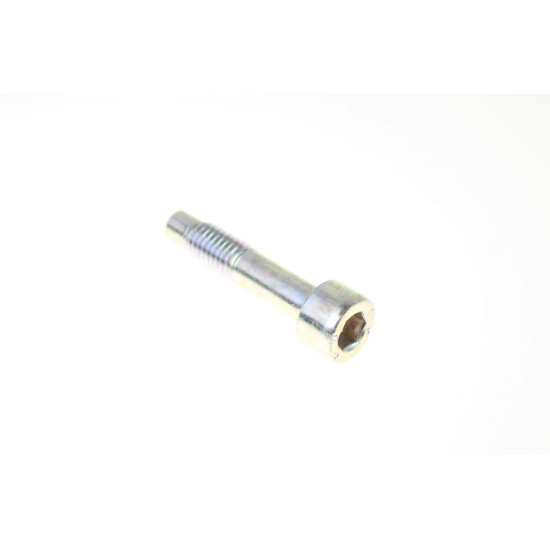 SCREW PLUG M10X45 0 / 000.460.3015