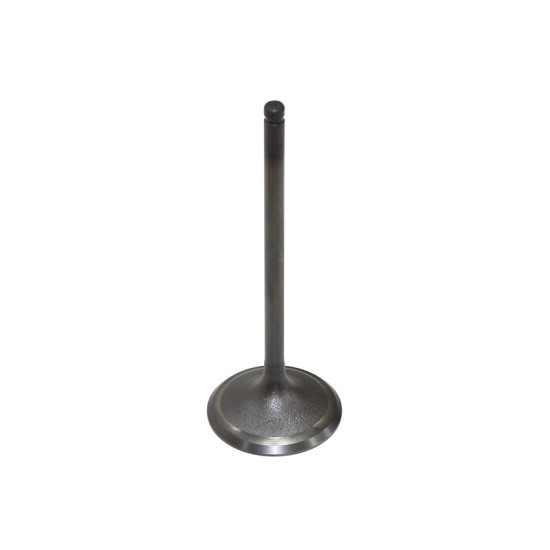 Bronco Intake Valve Arctic...