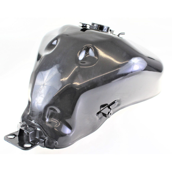FUEL TANK 50100P160000