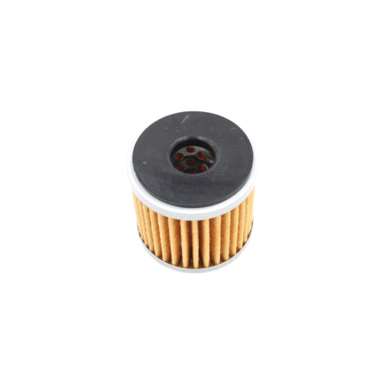 ALYVOS FILTRAS BENELLI LEONCINO 250 - TRK 251 - BN251 160125150010