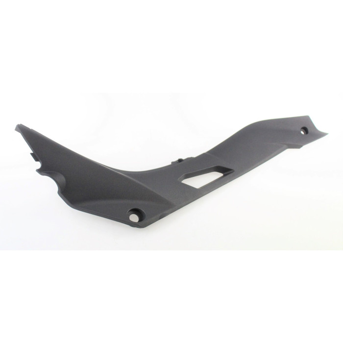 RIGHT COVER 65602L29BA00