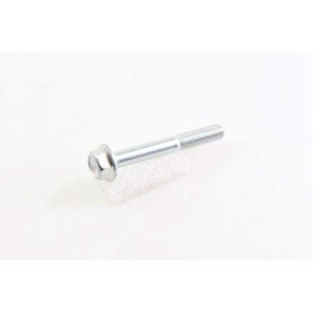 BENELLI M8X60MM SCREW