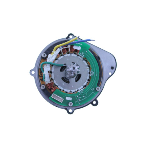BAFANG BBS01B 36V-250/350W CENTRINIO VARIKLIO REMONTO RINKINYS