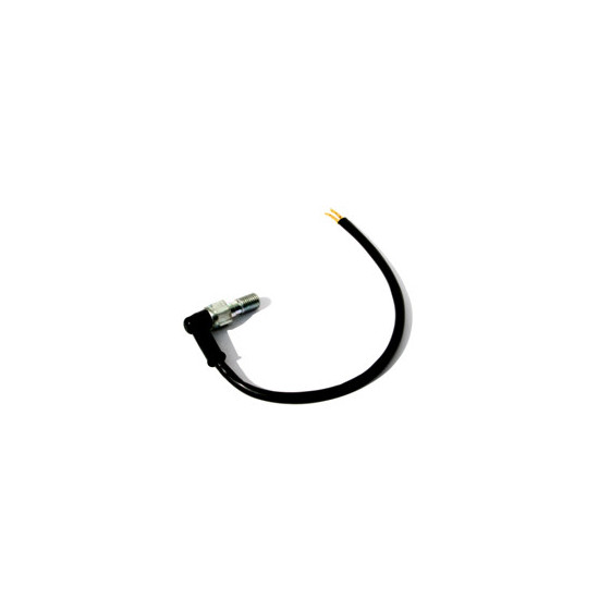 BRAKE SWITCHES