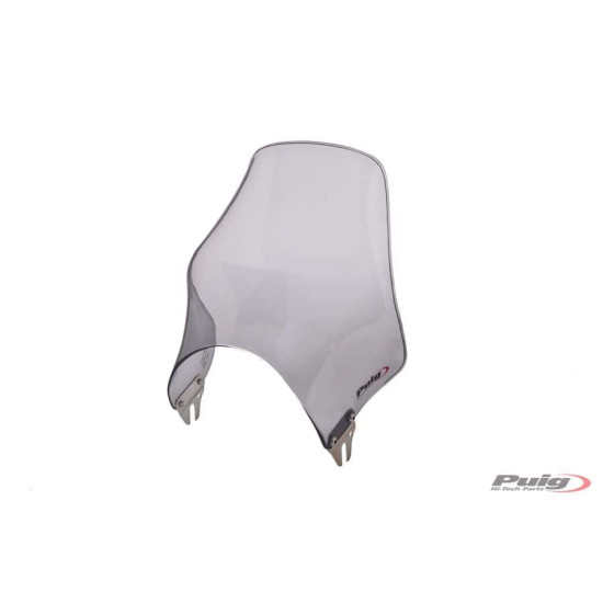 WINDSHIELD FOR NAKED C / SMOKE