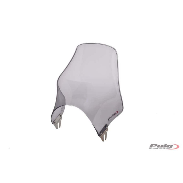 WINDSHIELD FOR NAKED C / SMOKE