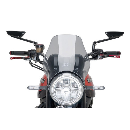WINDSHIELD FOR NAKED C / SMOKE