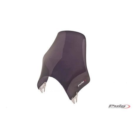 WINDSHIELD FOR NAKED MODEL C / DARK SMOKE