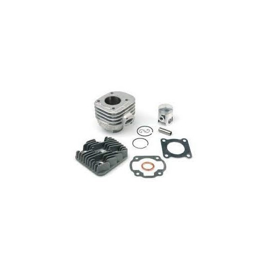 CYLINDER NICASIL WITH HEAD AIRSAL MINARELLI VERTICAL APRILIA AMICO LK LX SR MBK BOOSTER RACK YAMAHA BWS CT50 46MM 2T