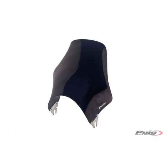 WINDSHIELD FOR NAKED C / BLACK