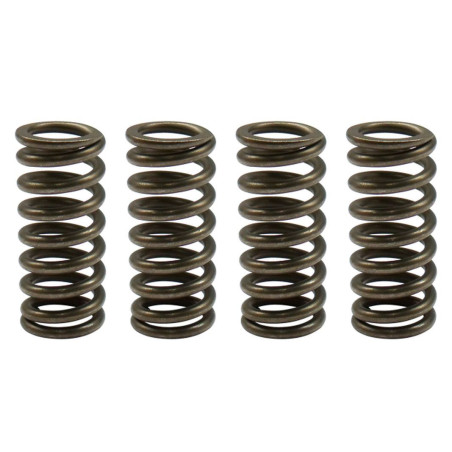 PSYCHIC clutch springs HONDA CRF 450F '11-'12 (EBS174)