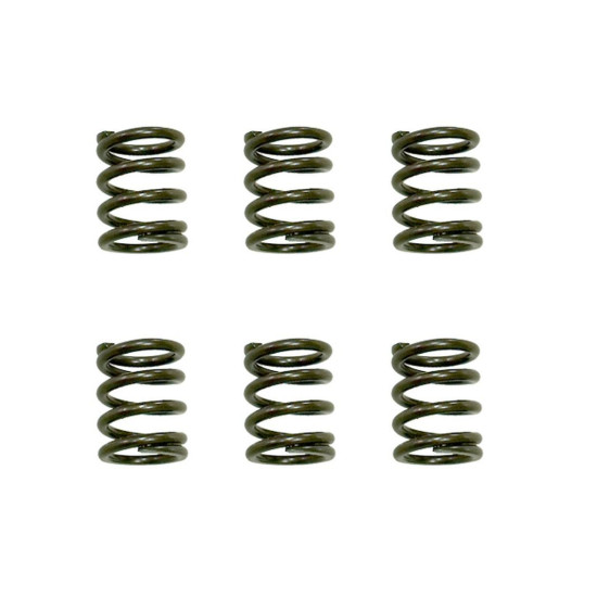PSYCHIC clutch springs KTM SX 65 '09-'16, XC 65 '09-'10 (EBS021)