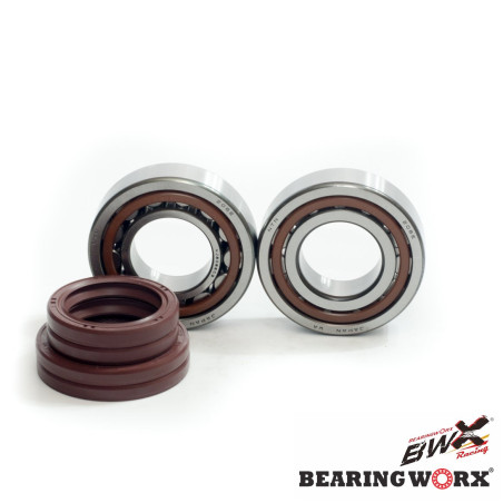 BEARING WORX alkūninio veleno guoliai su riebokšliais KTM 450/505/530 (07-) (MADE IN JAPAN) (NTN) (23.CBS64007) (00050002304)