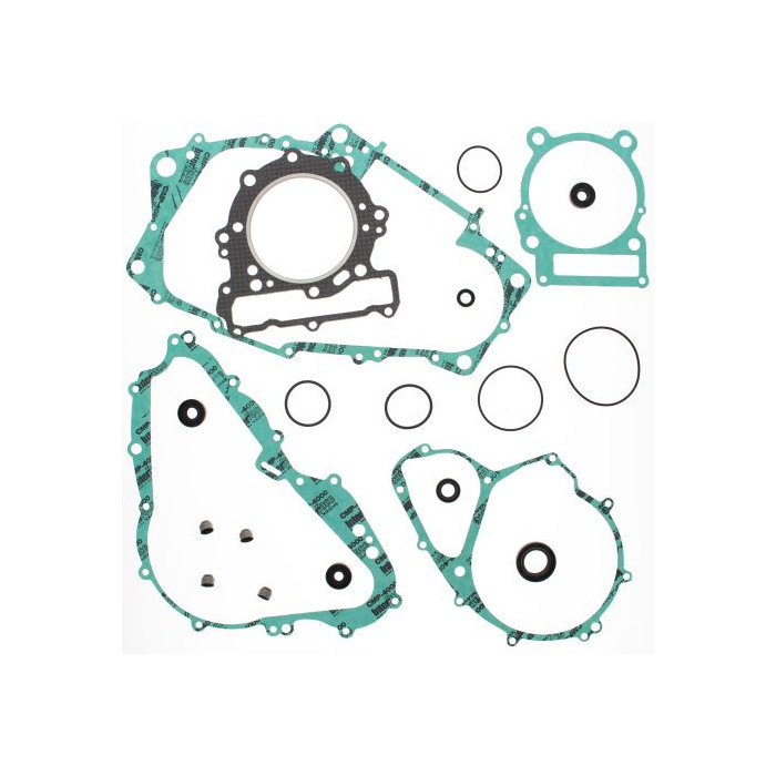 WINDEROSA (VERTEX) engine gasket set with oil seals CAN-AM DS650 00-07