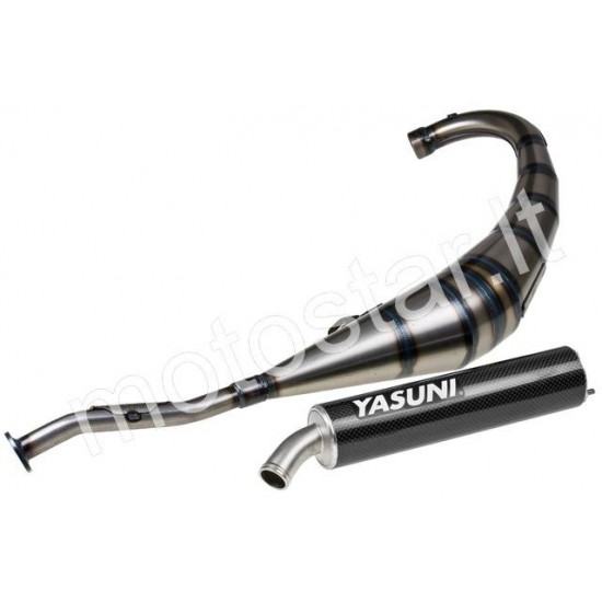 Yasuni R2 Black Carbon Yamaha TZR / Aprilia RS (Minarelli AM6) dusty