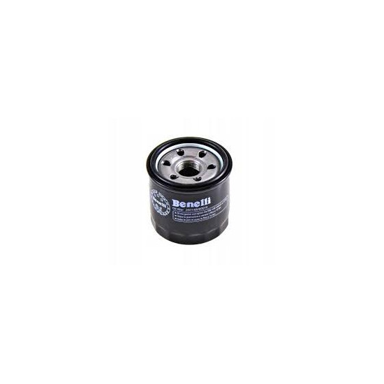 ALYVOS FILTRAS BENELLI TRK 702 / 702X 4T EU5 2023-